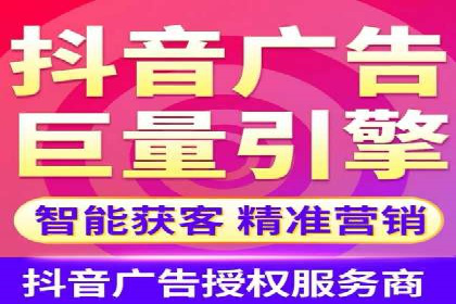 某公司信息流广告的精准投放与效果评估